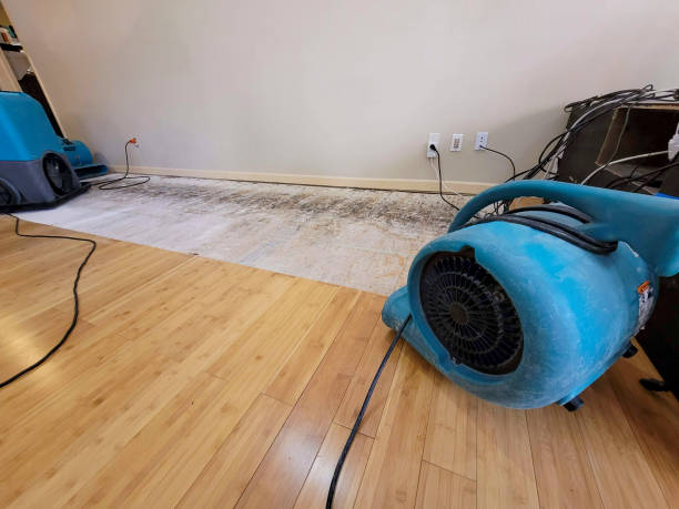 Professional Water Removal technician working in Russellville, KY
